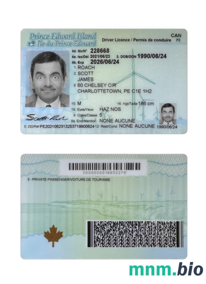 Szablon prawa jazdy Canada Prince Edward Island w formacie PSD, ze wszystkimi czcionkami